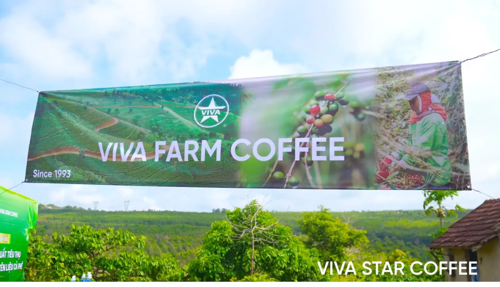 Nông trại cà phê Viva