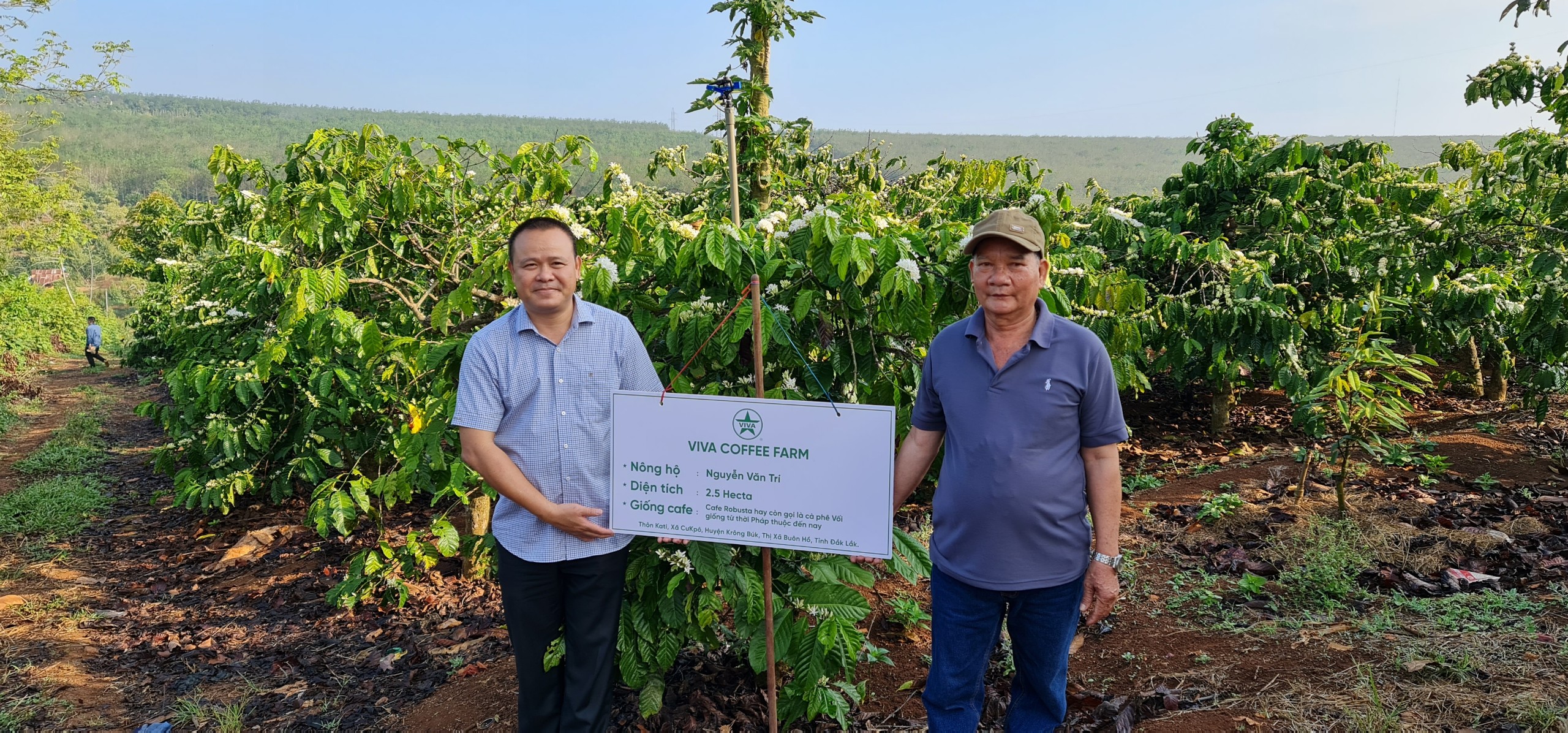Nông trại cà phê Viva