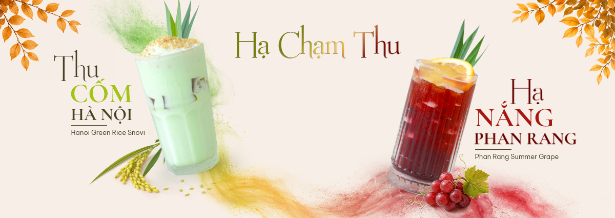 Bộ sưu tập VIVA Sen
