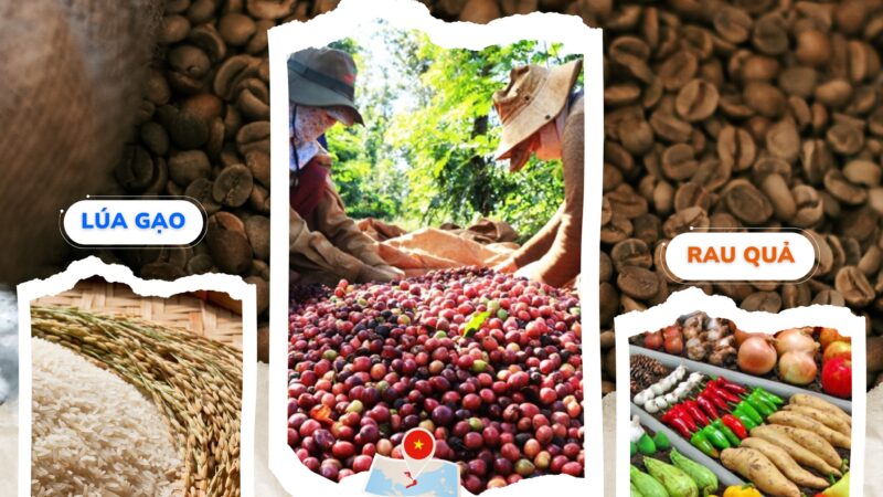 NÔNG SẢN “KHỞI SẮC” VÀ NHỮNG KỶ LỤC TRONG NĂM 2024