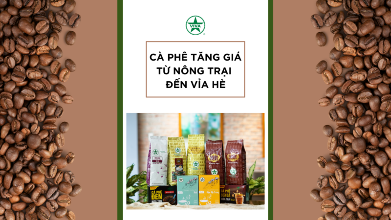 CÀ PHÊ TĂNG GIÁ KỶ LỤC TỪ NÔNG TRẠI ĐẾN VỈA HÈ