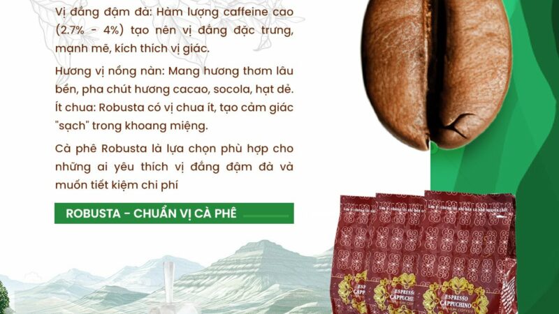 CÀ PHÊ ROBUSTA – GU ĐẬM ĐÀ, CHẤT MẠNH MẼ