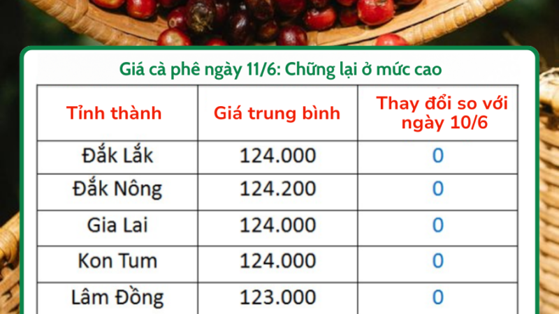 [TIN NÓNG] GIÁ CÀ PHÊ NGÀY 11/6: CHỮNG LẠI Ở MỨC CAO