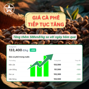 Read more about the article Tin thị trường: Giá cà phê hôm nay 15/3 tăng thêm 500vnđ/kg