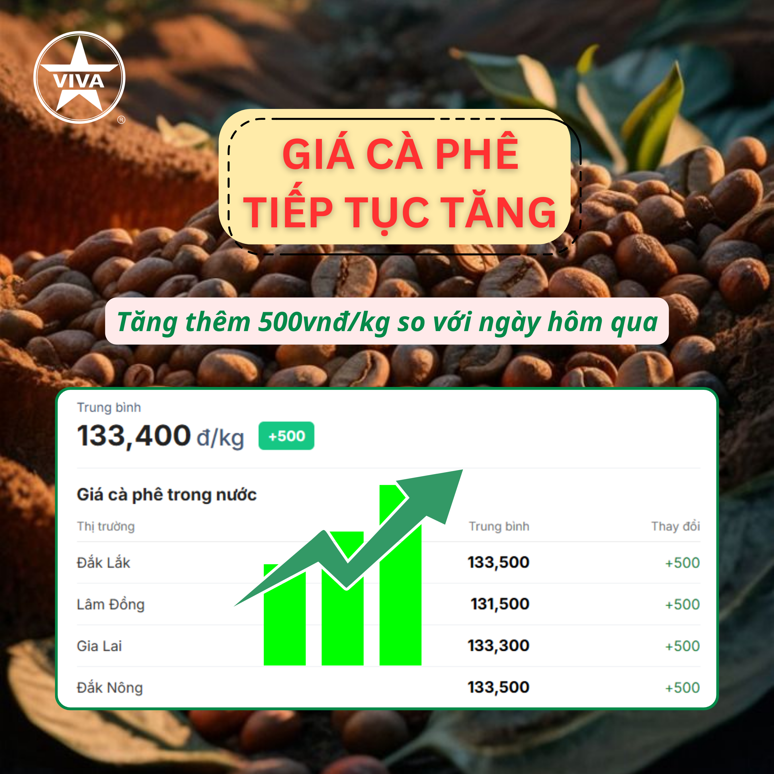 Read more about the article Tin thị trường: Giá cà phê hôm nay 15/3 tăng thêm 500vnđ/kg